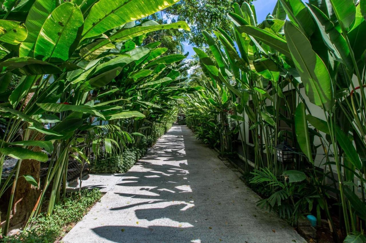 Nai Yang Beach Resort And Spa Buitenkant foto
